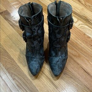 Freebird by Steven blue snake Joey